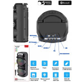 اسپیکر Sing-e مدل ZQS6223 ویژگی 2×6 اینچ